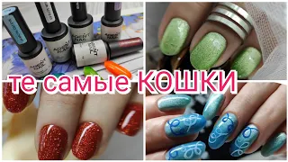 Грандиозный обзор 💅 ХРУСТАЛЬНЫЕ кошки Agent NAIL