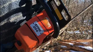 Legendary STIHL 044  ARTIC 116mm  FullPowe in action