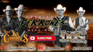 Mix de Corridos/ Los Dos Carnales y Los Dos de Tamaulipas🔥🔥🔥/ Dj ezkandalozo