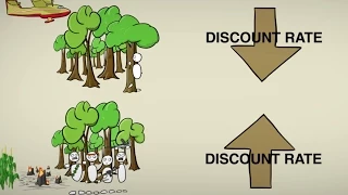 Cost-Benefit Discounting