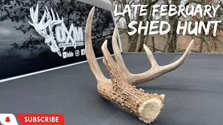 Late February Shed Hunt | 5 SHEDS IN 20 YARDS!!! | Giant 5 Point | Huge Matching Set | Iowa Sheds