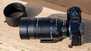 Panasonic 100-400mm review for wildlife photography