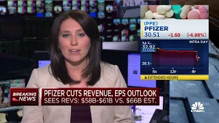 Pfizer warns of delayed Paxlovid commercialization and lower Covid demand