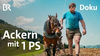 Bäne - Ackern mit Pferd | Ein Jahr mit Bäne | Doku 2/6 | Alpe | Bergmenschen | BR | Landwirtschaft