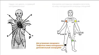 Схемотехника ЭКГ: ч.1. Источники биопотенциалов и система их снятия