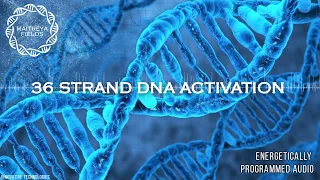 36 Strand DNA Activation / Energetically Programmed Audio / Maitreya Reiki™