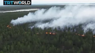 Arctic On Fire: Worst wildfire season on record in Arctic