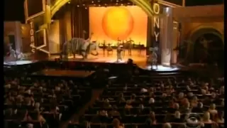 Opening of the 2008 Tony Awards - Circle of Life