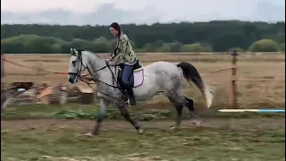 Полевой  галоп. Посадка . Смена  ноги на галопе