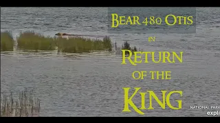 Return of the King of Katmai