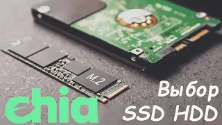 Новости майнинга Chia и тонкости выбора накопителя SSD NVMe и HDD