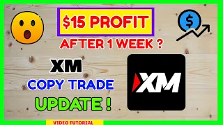 XM Copy Trading Update: What Happened After Almost a week of Copying? Did I Earn in Copy Trade XM?