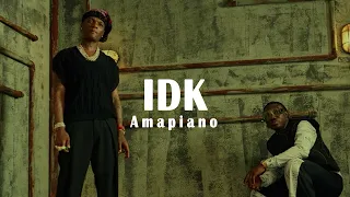 [FREE] BurnaBoy_"IDK"_ WizKid  x Tyla x Amapiano Type beat 2024 | Afrobeat Instrumental