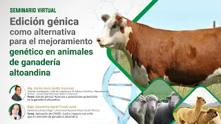 Edición génica como alternativa para el mejoramiento genético en animales de ganadería altoandina.