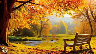 Hello October, The Month Of Lovers 🍁 Autumn Atmosphere And Autumn Sounds 💖 Autumn Love