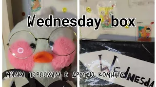 УЭНСДЕЙ БОКС -одежда, аксессуары!  WEDNESDAY BOX