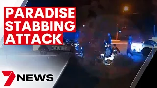 Young woman facing attempted murder charge over Paradise stabbing | 7NEWS