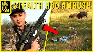 AMBUSHING Feral Hogs!!