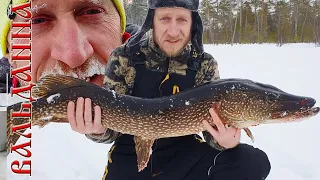 В ПОИСКАХ МЕГА ЩУКИ на ПОСЛЕДНИЙ ЛЁД / Весення рыбалка на налима и щуку на жерлицы