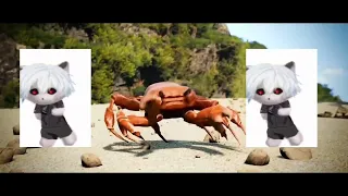 ShadowCrab (Crab Rave x Astral Step x Showdown x 666) Shadowraze Mashup
