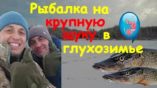 РЫБАЛКА на КРУПНУЮ ЩУКУ в глухозимье - лески трещат в пальцах. Щука жерлицами. Зимняя рыбалка 2019