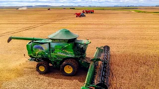 Teste de variedades de soja na colheita na fronteira do Brasil