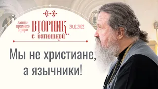 Сейчас навязывается Содом и Гоморра! Вторник с батюшкой. Беседа с от. Андреем Лемешонком 20 декабря