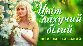 Цвіт пахучий білий - чарівна чутлива українська народна пісня. Виконує - Юрій Шмегельський