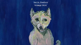 Darrin Bradbury - "Strange Bird" (Full Album Stream)