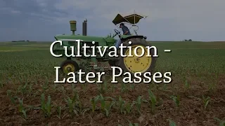 Cultivation - Later Passes - Organic Weed Control