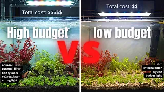 CHEAP AQUARIUM💰 VS EXPENSIVE AQUARIUM💰💰💰WILL IT MAKE A BIG DIFFERENCE?