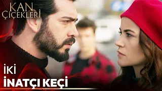 Bu Sevda Nasıl Başladı? #20 - Kan Çiçekleri