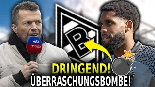 Last-Minute-Bombe! Großartige Neuigkeiten! Damit hat niemand gerechnet! Die Fohlen