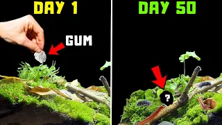 What happens when you throw gum in nature? *TESTED*