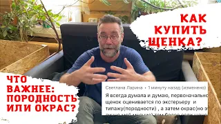 КАК ВЫБРАТЬ ЩЕНКА | что важнее Окрас или Породные качества щенка