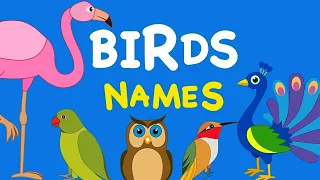 ABC Birds For Children -|Learn Alphabet with Bird Names for Toddlers & Kids | Rehan World |