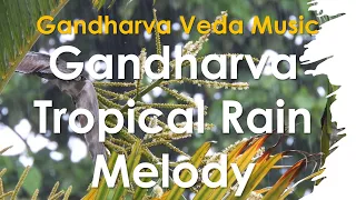 4K Gandharva Veda Music Gandharva Tropical Rain Melody