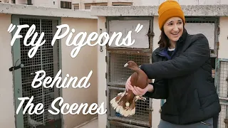 "Fly Pigeons" BTS | My Rode Reel 2020 Documentary