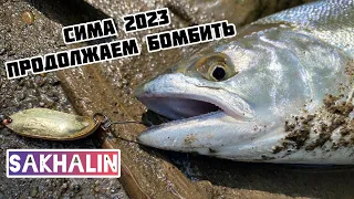 Сима 2023, продолжаем бомбить!