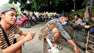 Visited the bird market in Bali