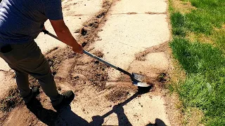 Please Get My Neglected Overgrown Lawn Back In Shape - Satisfying