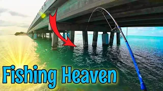 Florida Keys Fishing Underneath ALL the Bridges (NON-STOP Action)