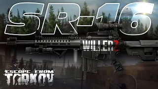 NEW SR-16 META BUILD - Escape from Tarkov