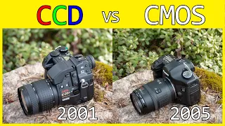 CCD vs Old CMOS Sensor Color Battle | Canon 5D Classic vs Olympus E-20