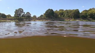 НЕИЗВЕСТНАЯ БЕЛАРУСЬ. ВРЕМЯ - ВОДА. (ПОДВОДНЫЕ СЪЁМКИ). 時は水なり。 (水中) ベラルーシの自然