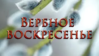 Традиции. Приметы. Заговоры. Вербное воскресенье.