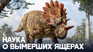 Что за 200 лет учёные узнали о динозаврах