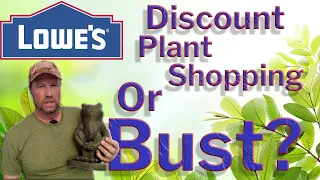 Lowes Shopping For Plants: Clearance Plants