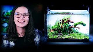 The noise of Aquascaping - ORSI Builds A Nature Style Planted Aquarium