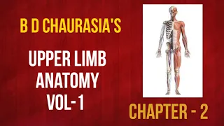 CLAVICLE BONE - (PART-1)-BONES OF UPPER LIMB-HUMAN ANATOMY (OSTEOLOGY)